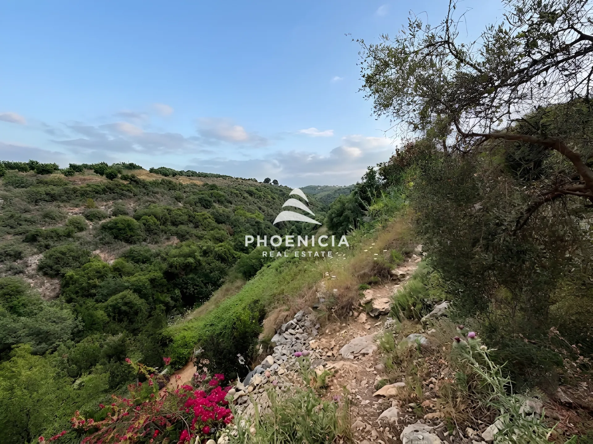 Residential Land for sale in Blat, Jbeil, Lebanon