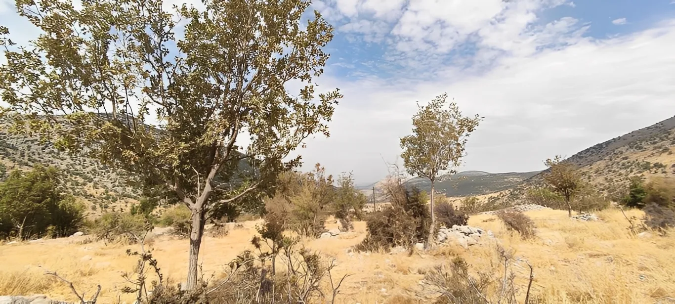 Land for Sale in Rashaya Rashaya