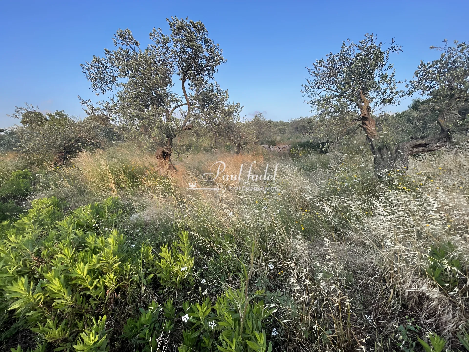 Land for sale in Batroun, lebanon