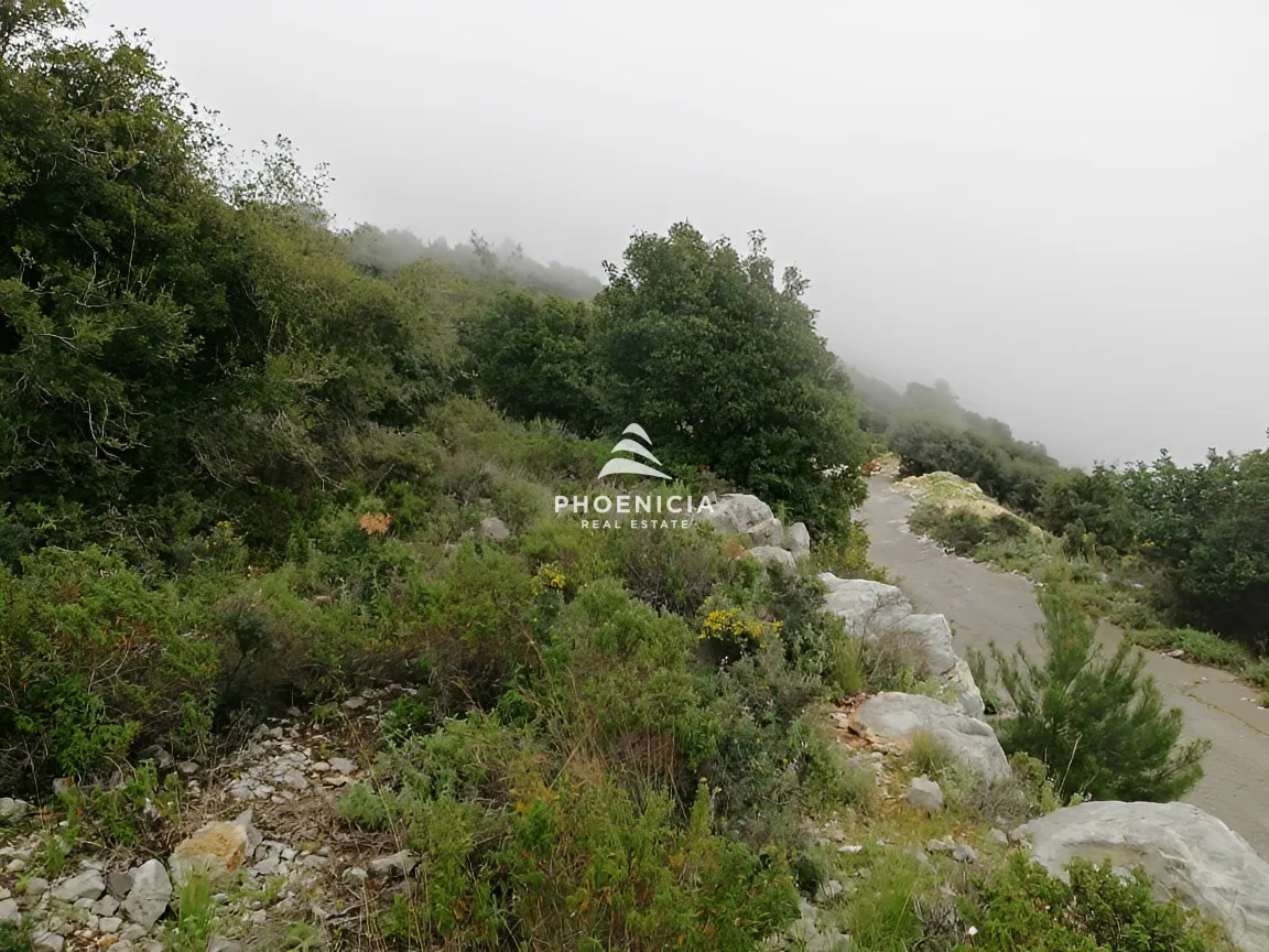 Land for Sale in Blat