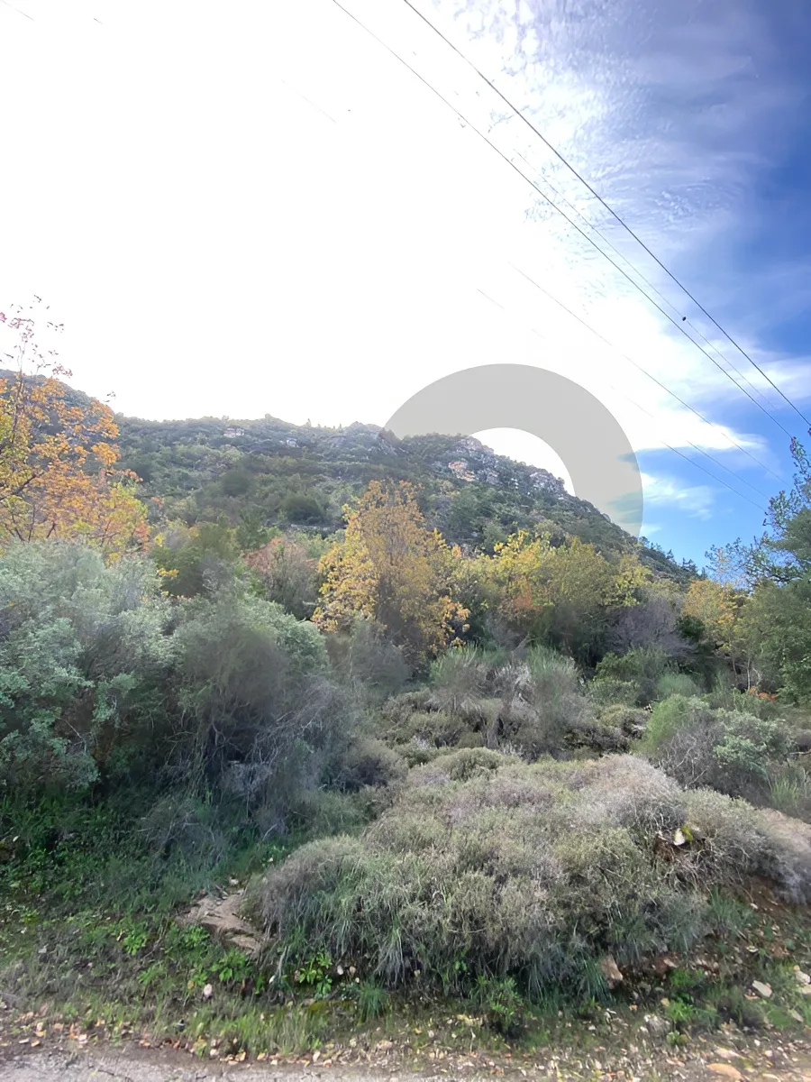 Land for Sale in Chartoun, Lebanon
