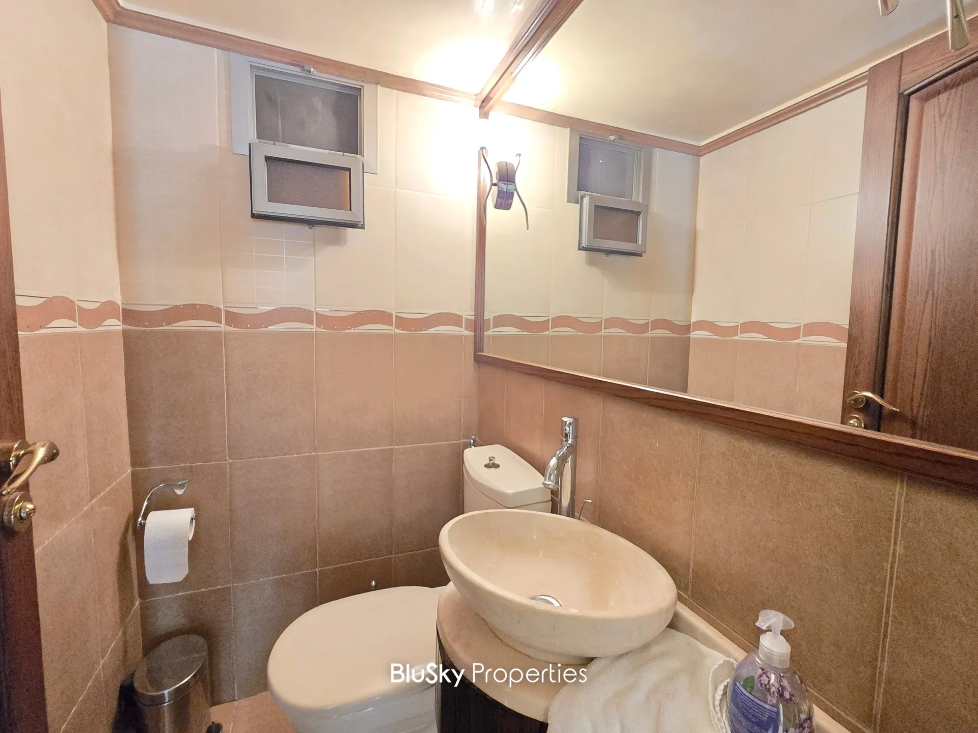 Apartment for sale in Mar roukouz, lebanon