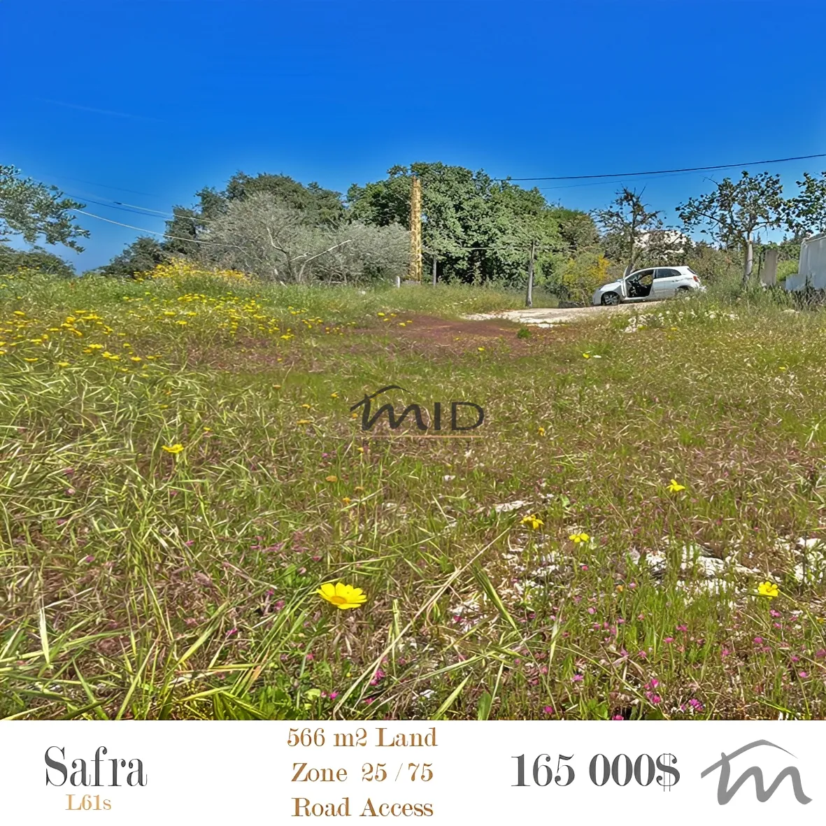 Land for sale in Safra, lebanon