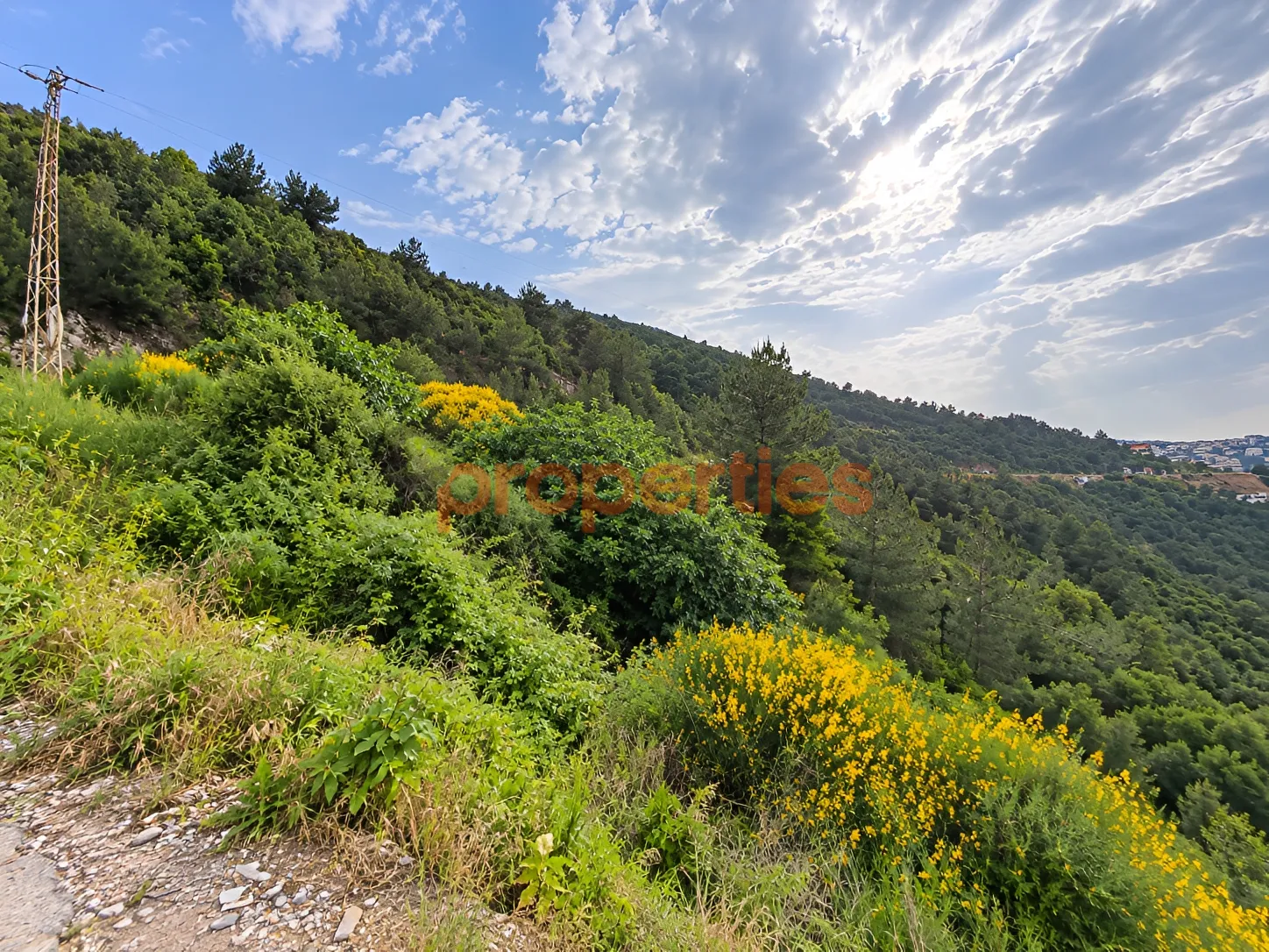 Residential Land for Sale in Kousba