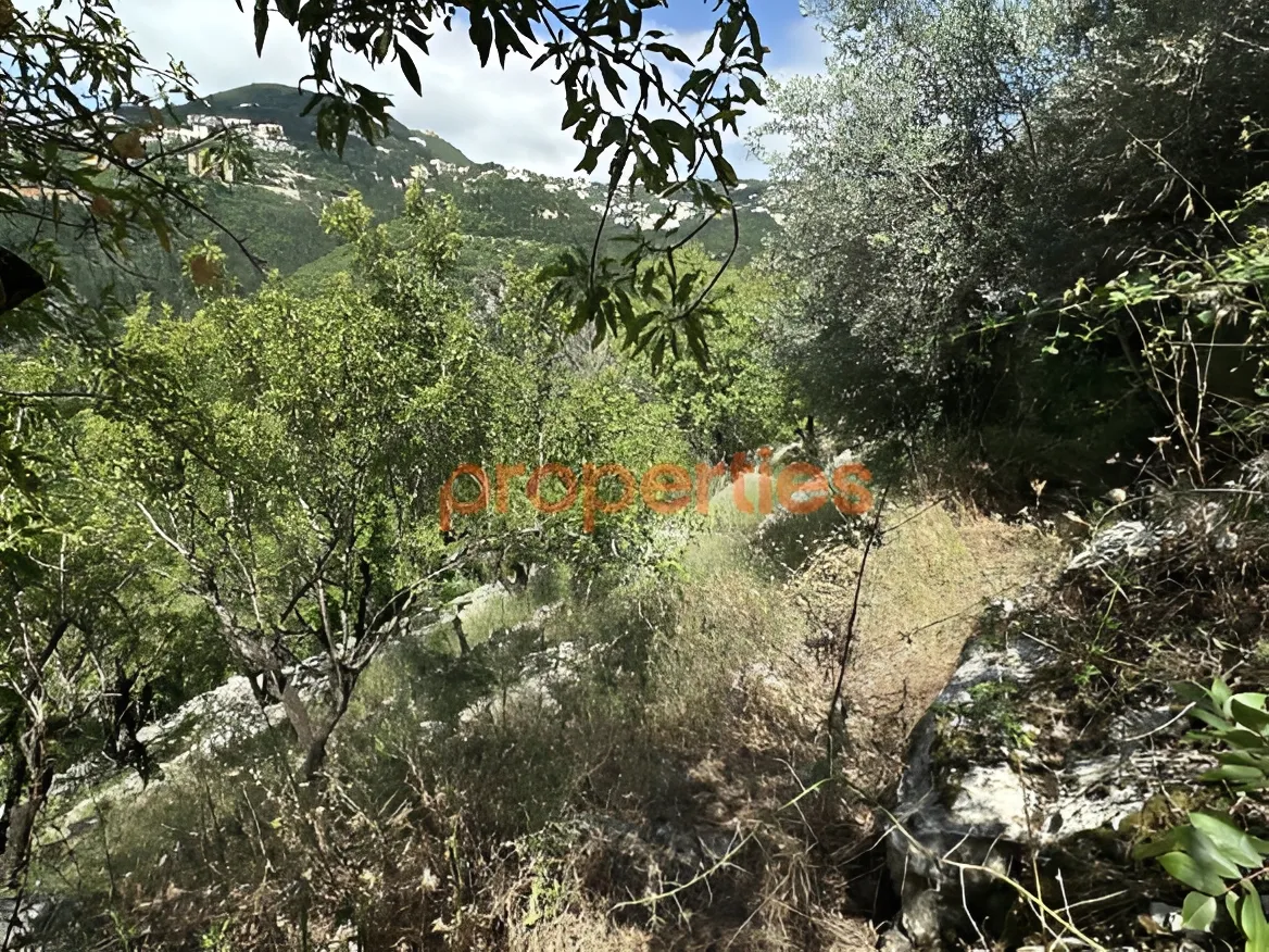 Residential Land for Sale in Ghazir