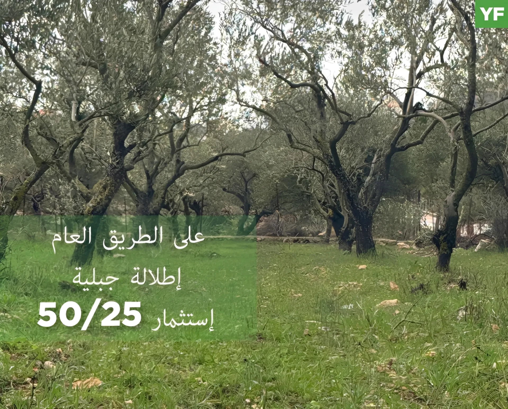Land for Sale in Jezzine, Lebanon