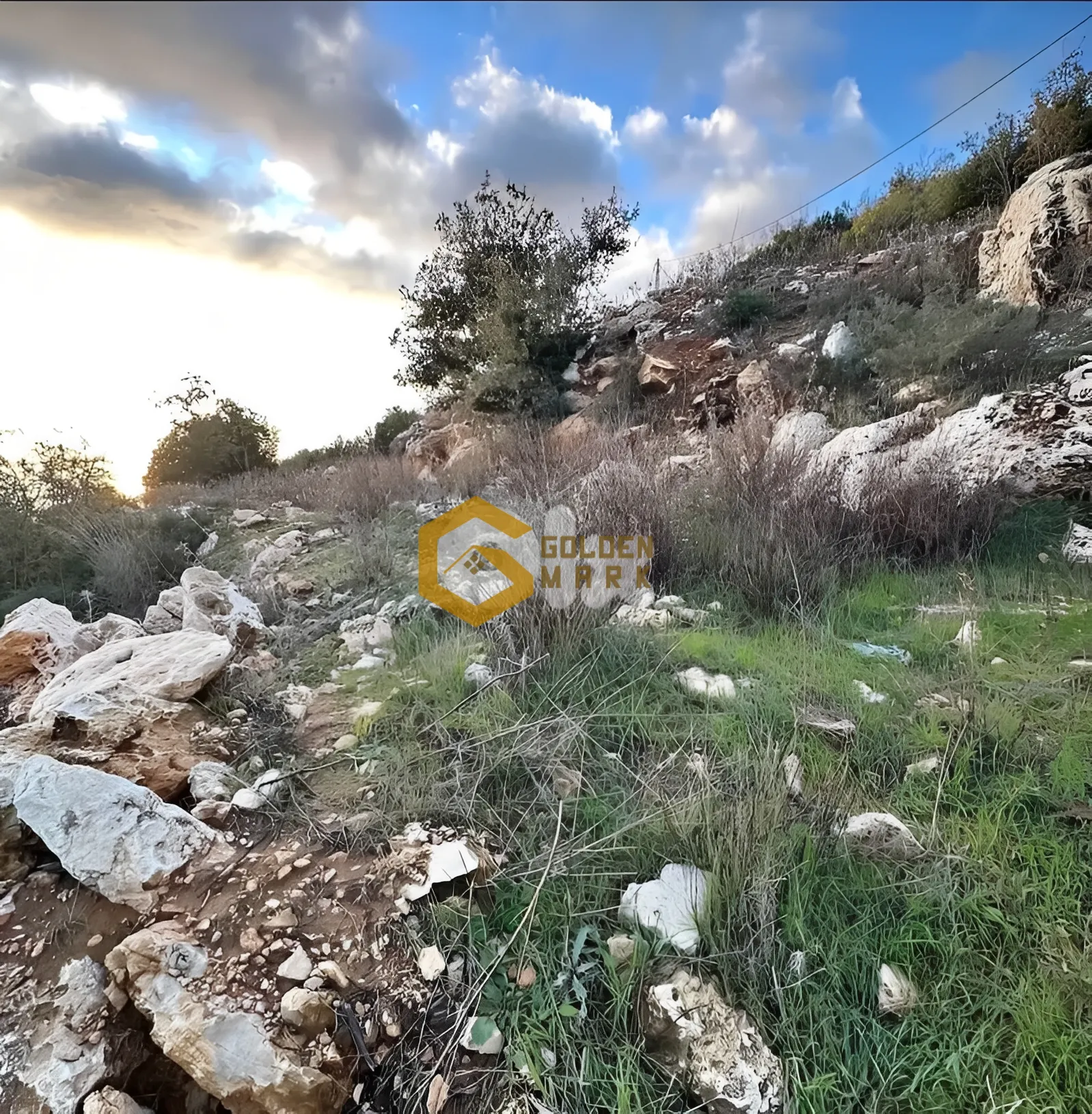 Land for Sale in Byblos