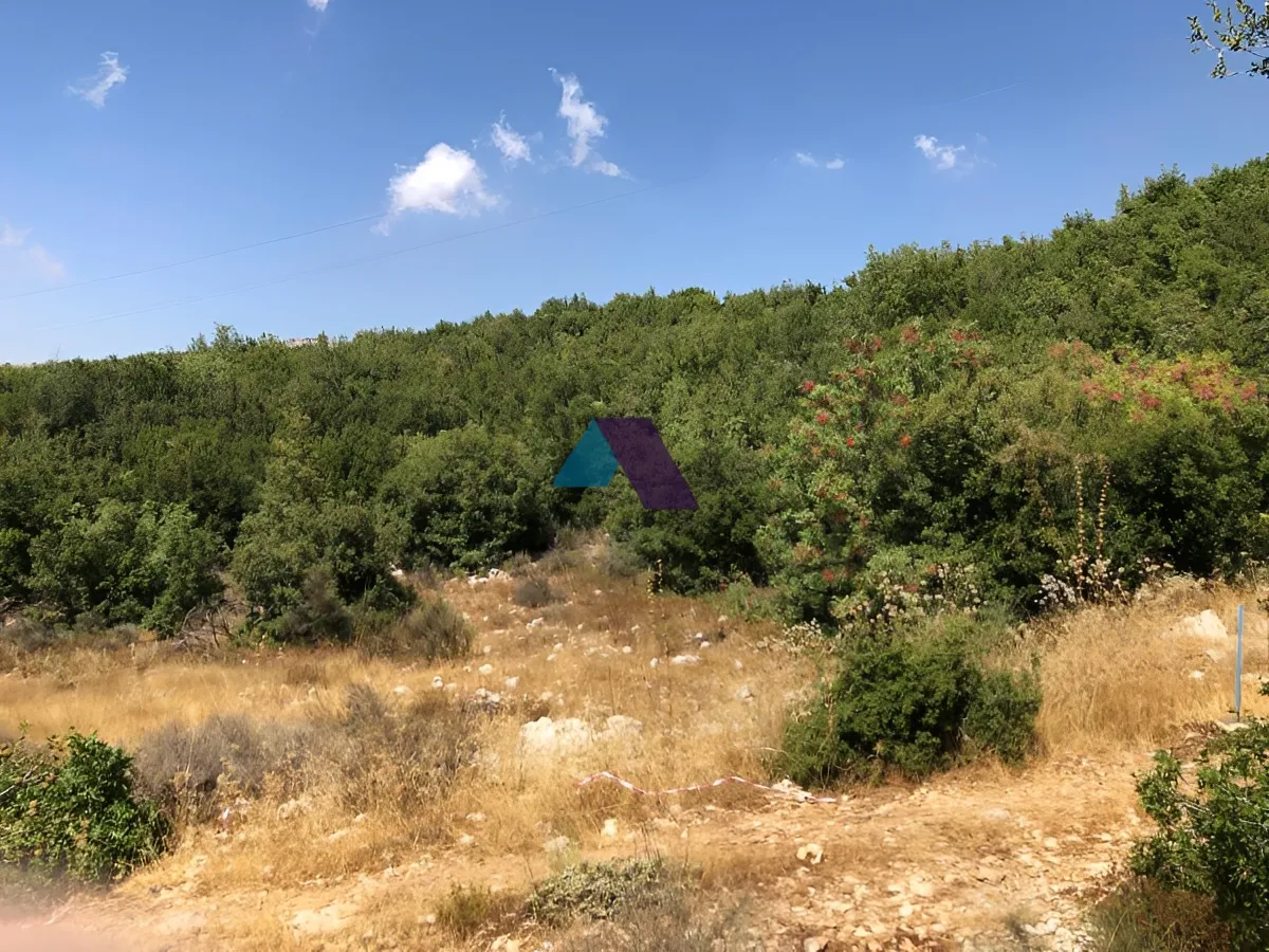 Land for Sale in Tarchich