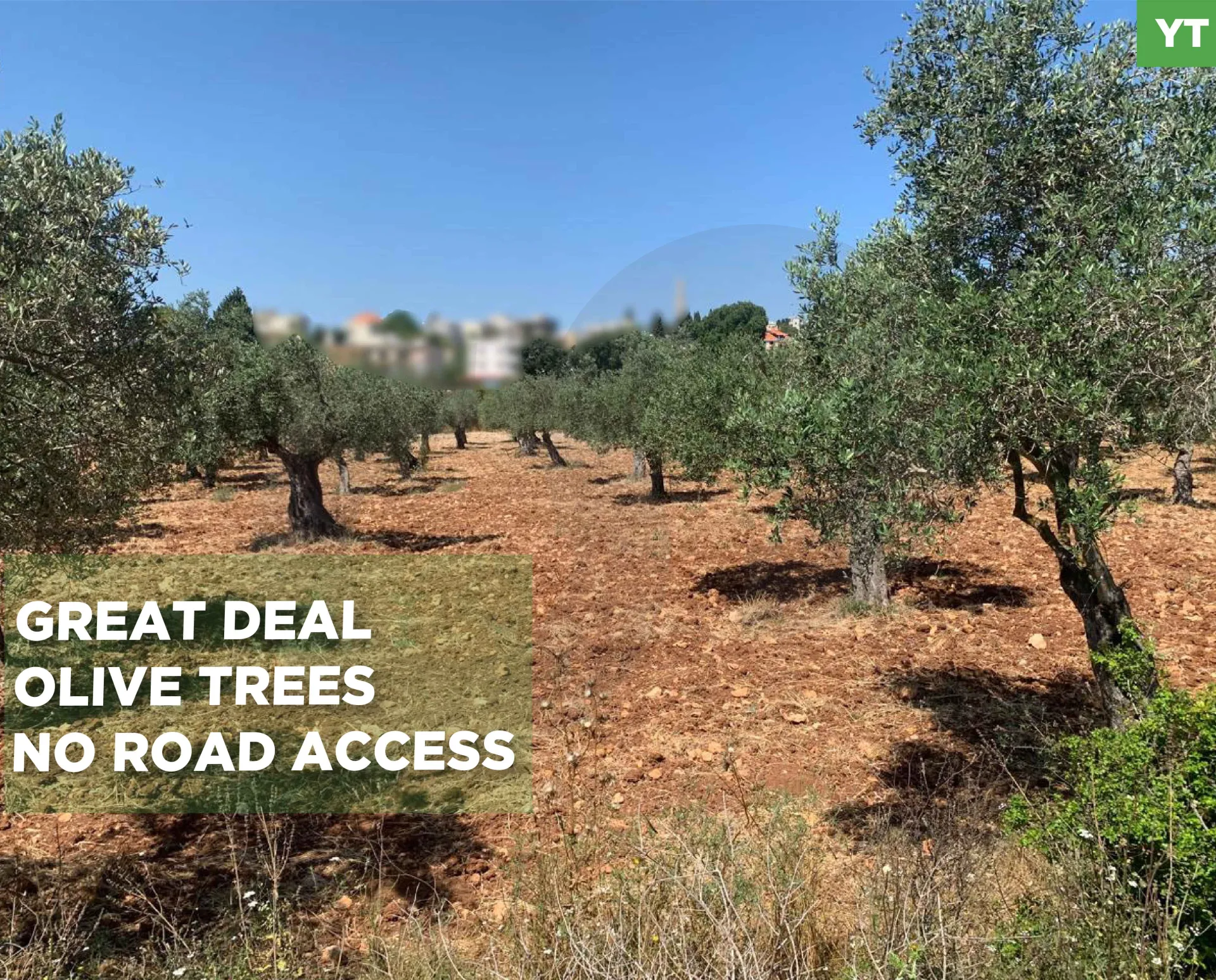 Land for Sale in Koura