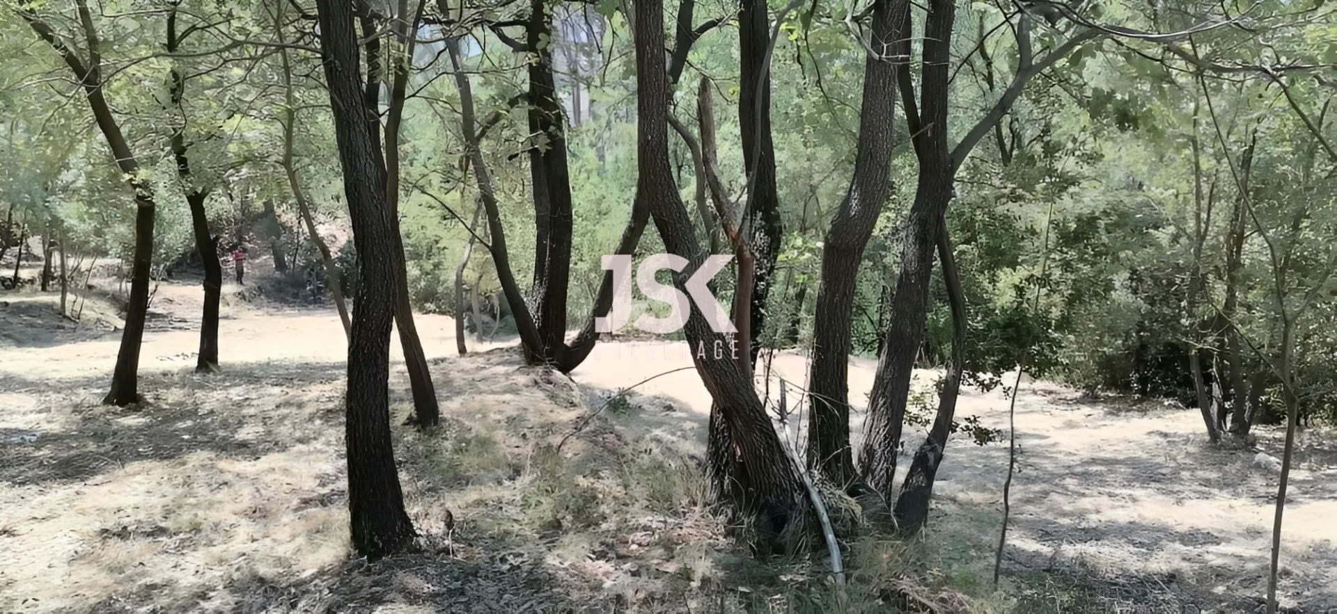 Land for Sale in Bzebdine, Lebanon