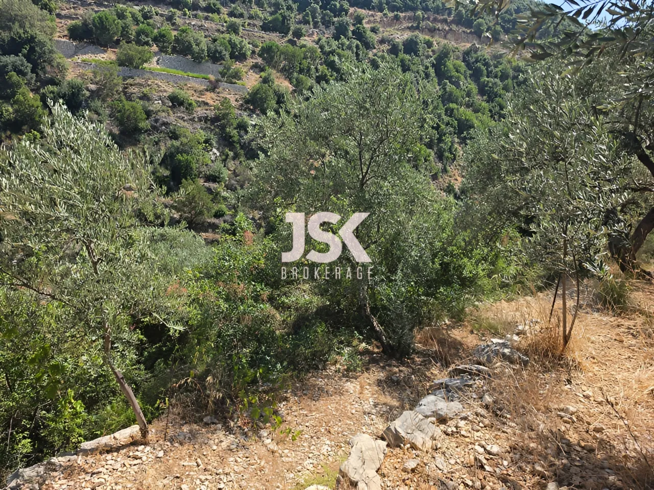 Land for Sale in Batroun