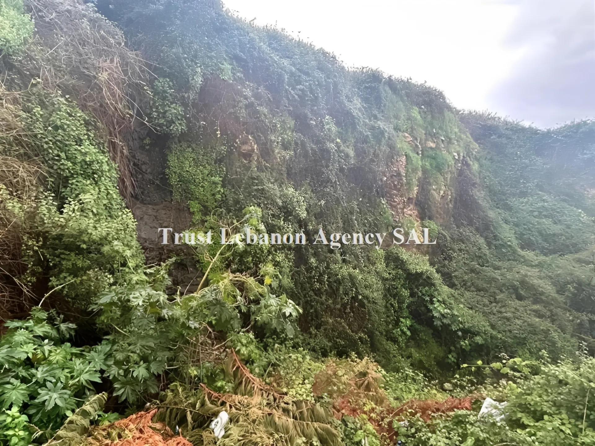 Land for Sale in Keserwan Kfaryesin Lebanon