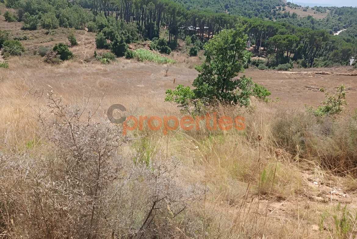 Residential Land for Sale in Mar Moussa El Douar