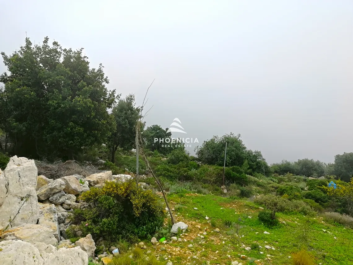 Land for Sale in Blat