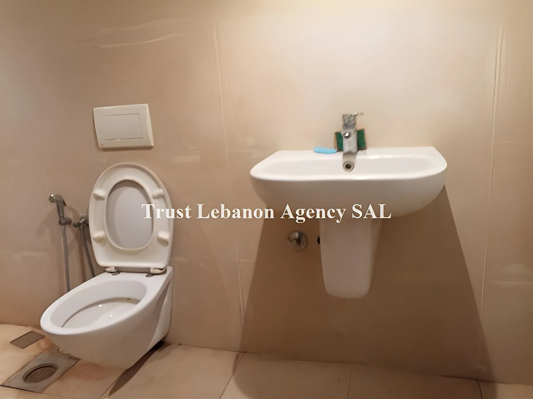 Apartment for Sale in Ashrafieh Beirut Lebanon