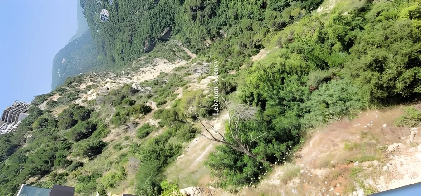 Land for Sale in Keserwan Chnaniir
