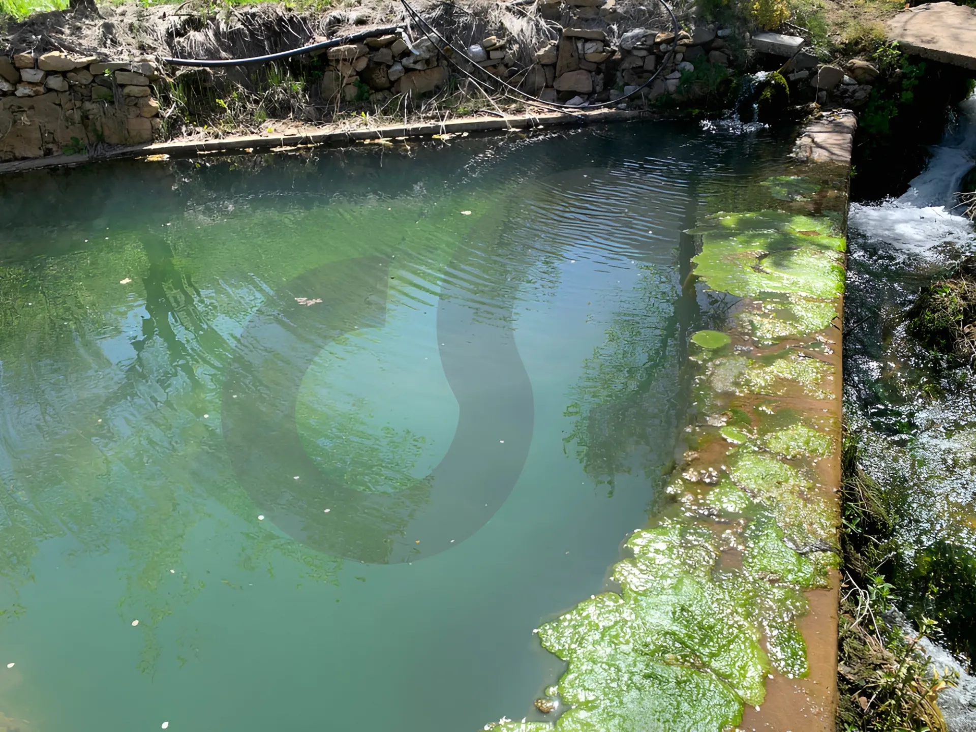 Land for Sale in Tannourine El Tahta