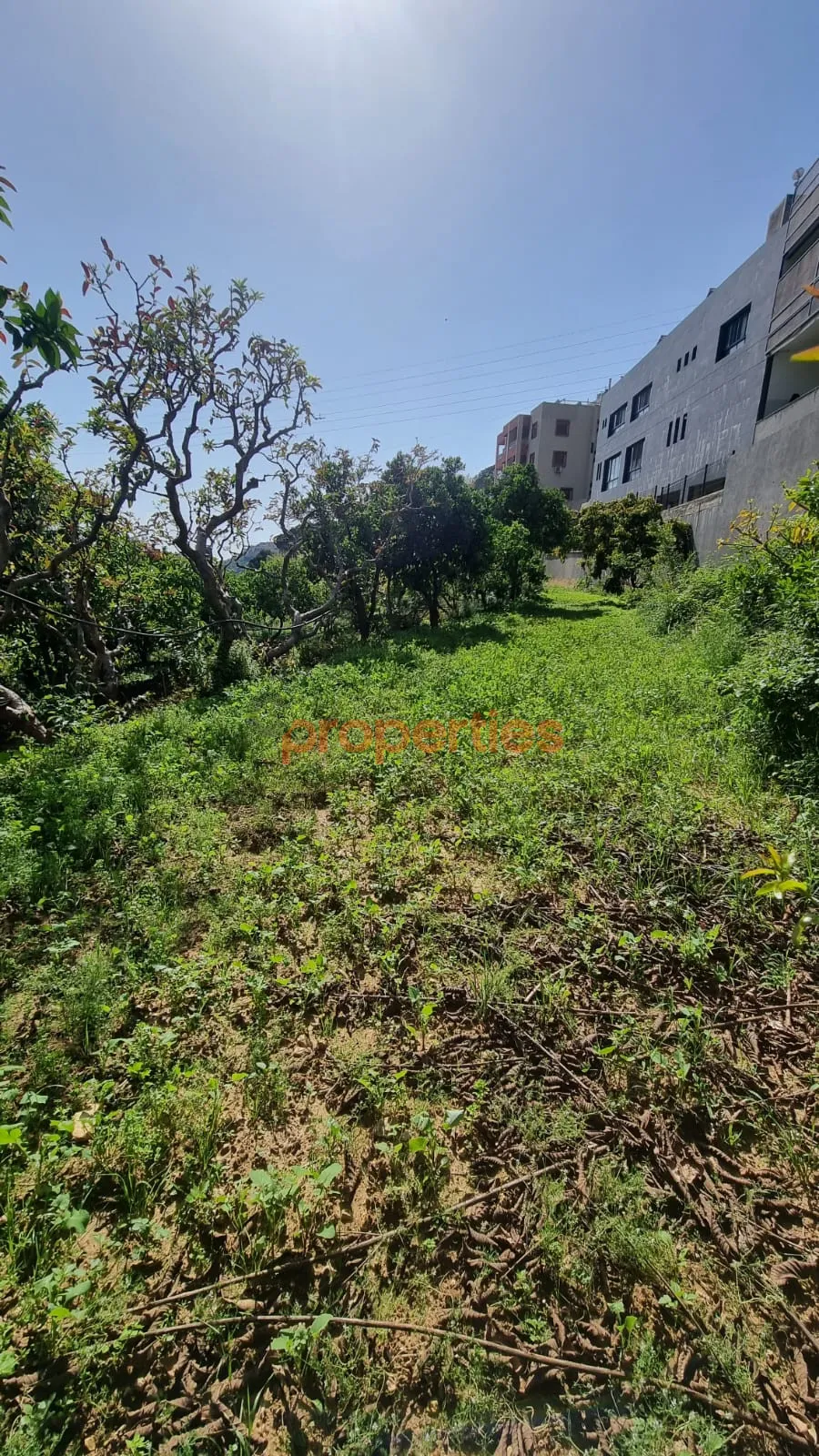 Residential Land for Rent in Kahaleh