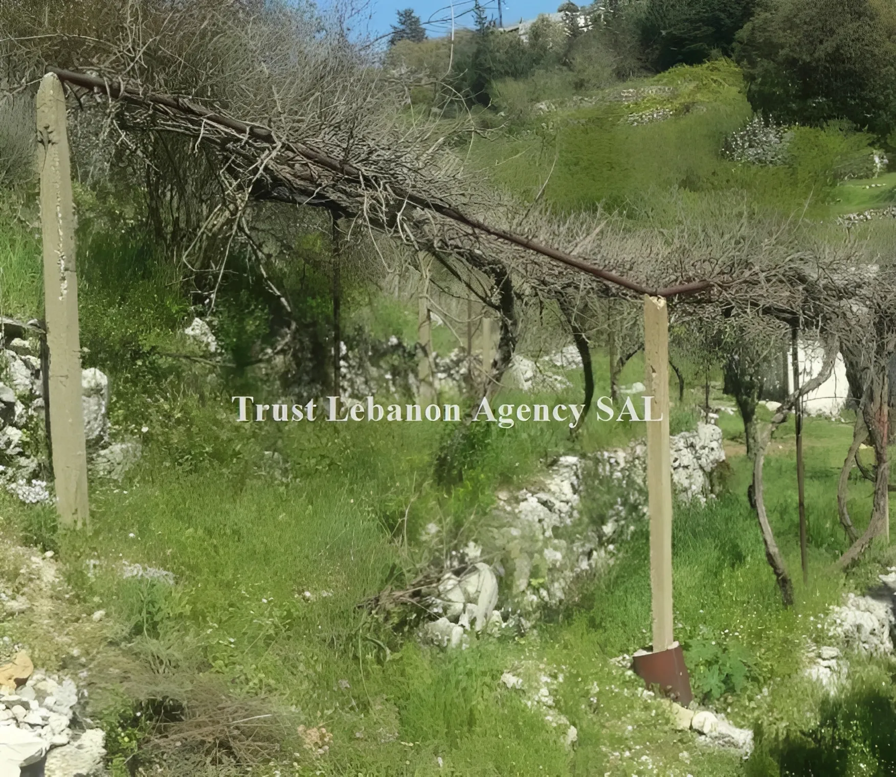 Land for Sale in Keserwan Kfour