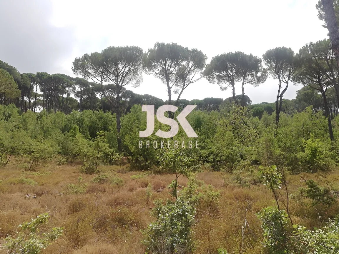 Land for Sale in Bzebdine, Lebanon