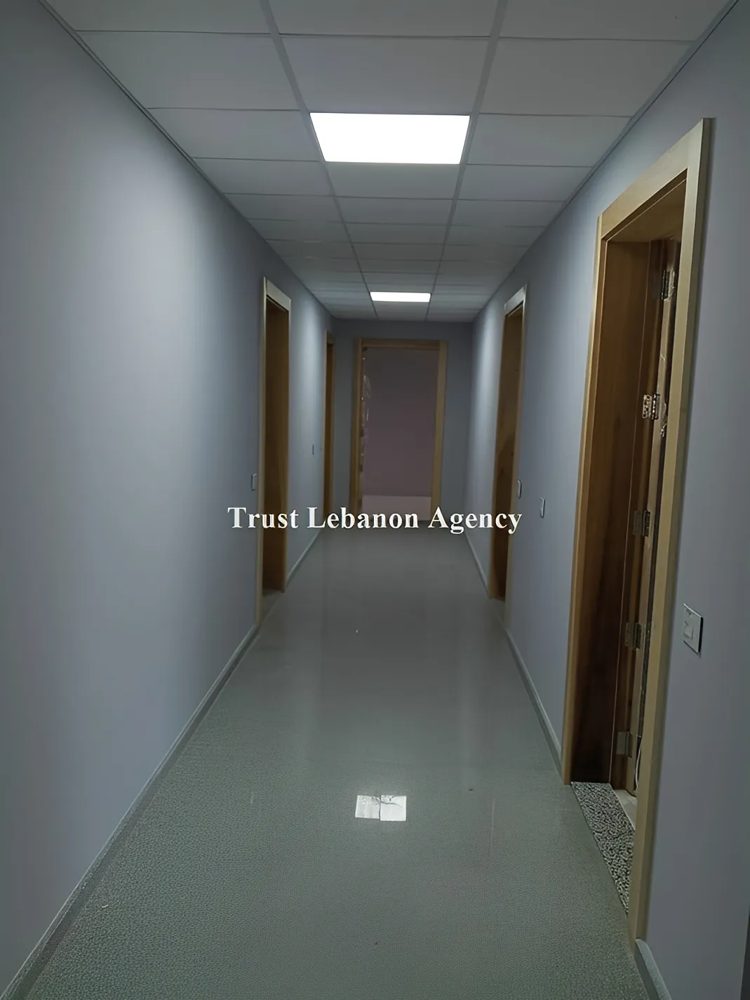 Office For Rent in Metn, Mansourieh