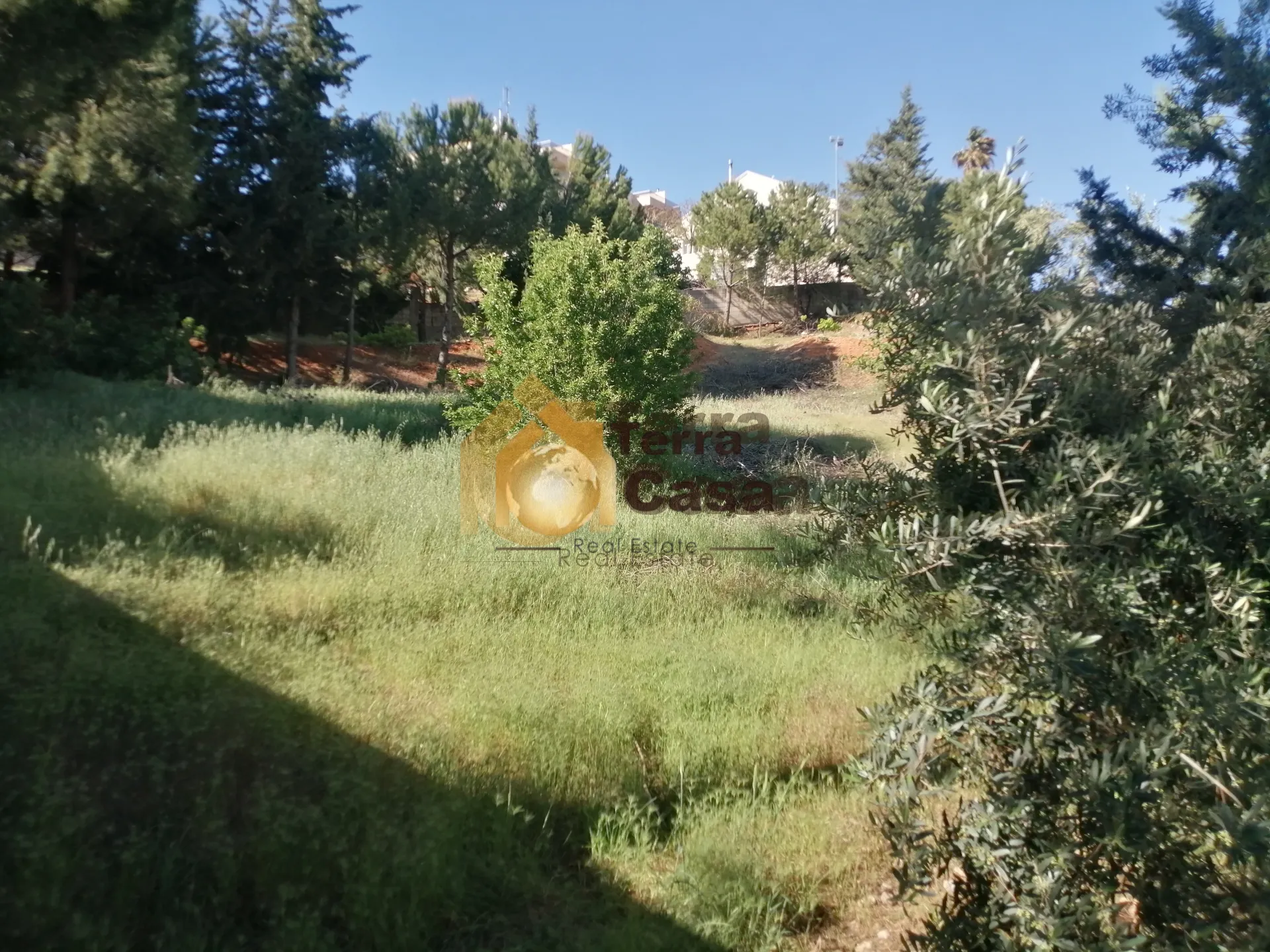 Land for Sale in Ksara