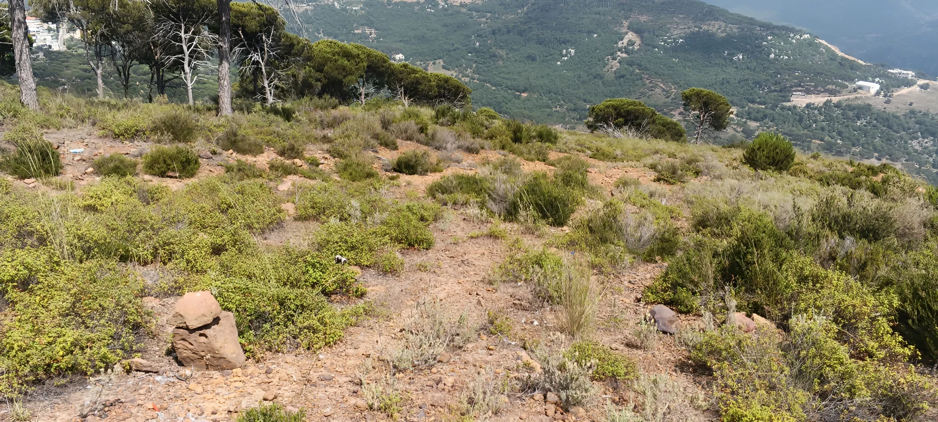 Land for sale in Dhour el choueir, lebanon