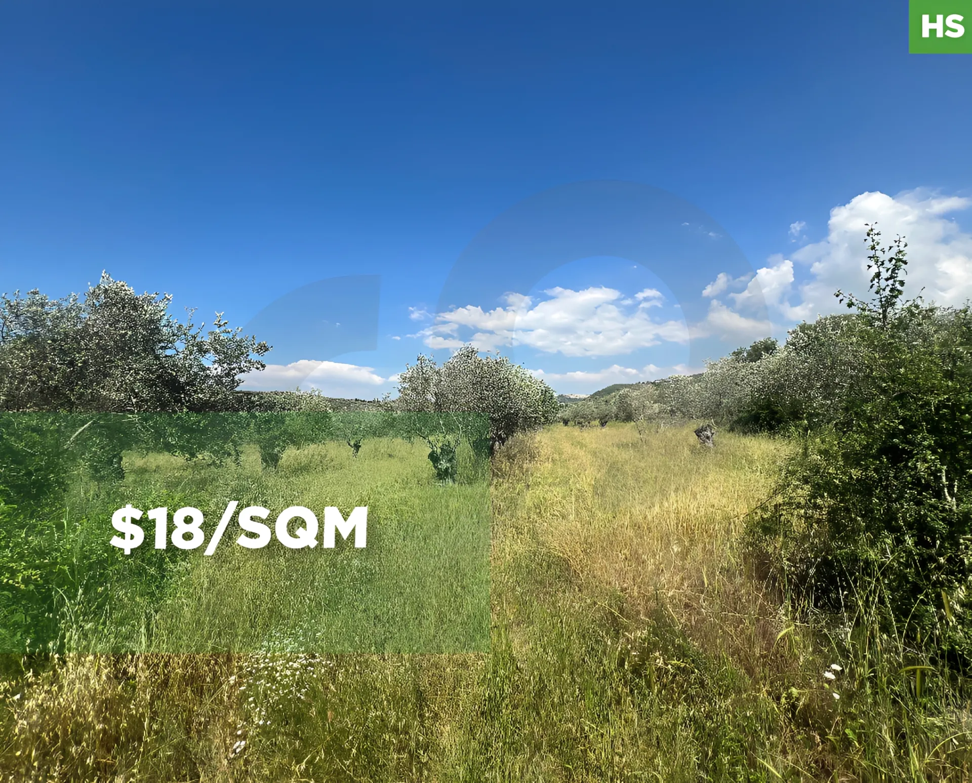 Land for Sale in Beino