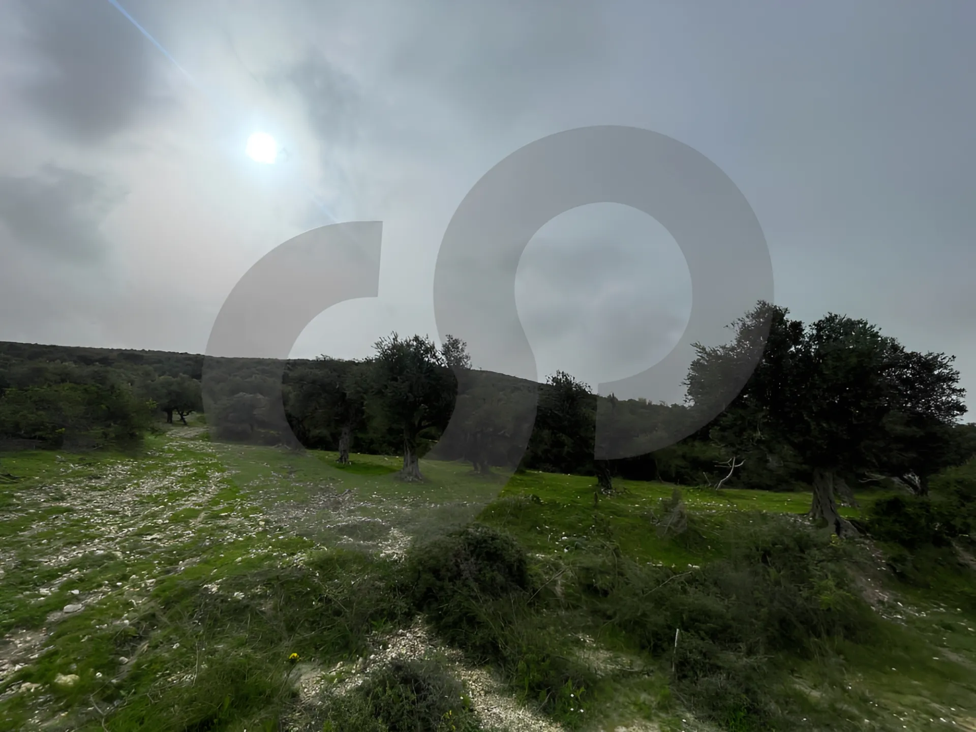 Land for Sale in Chekka