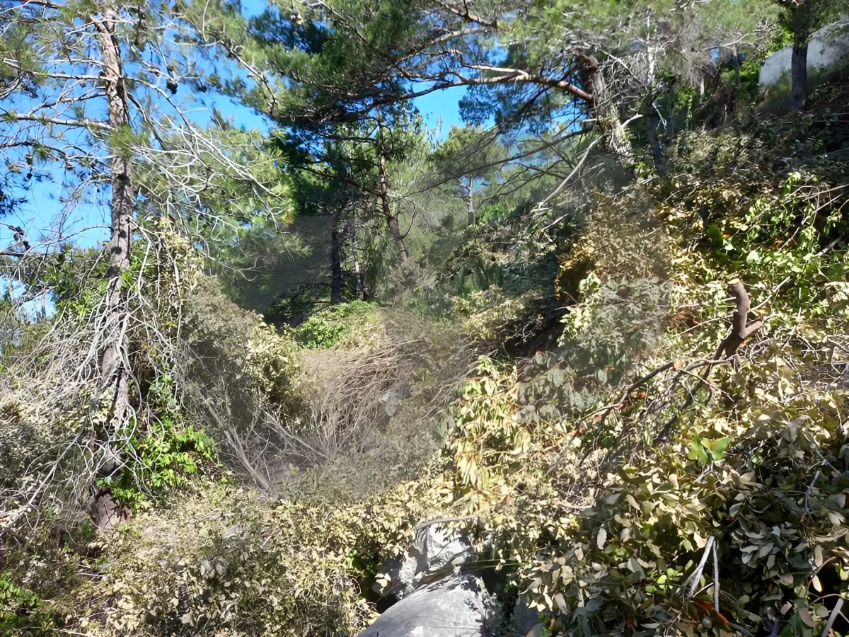 Land for Sale in Kafr, Lebanon