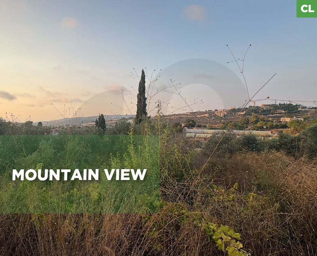 Land for Sale in Byblos