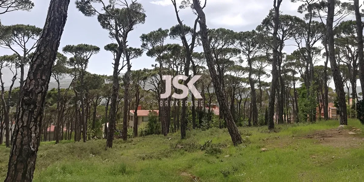 Land for Sale in Bolonia, Mrouj