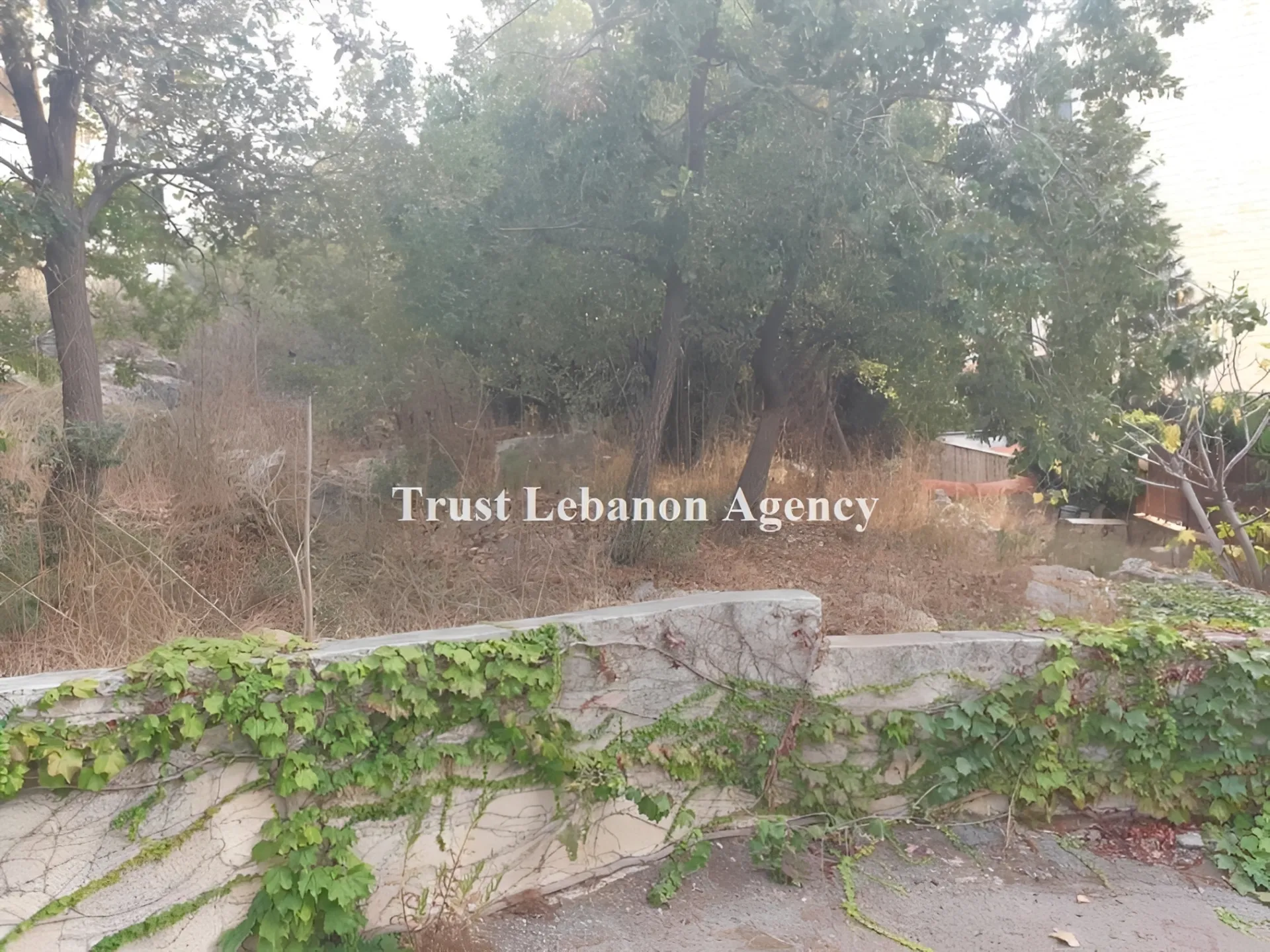 Land for Sale in Metn Kornet Chehwen Lebanon