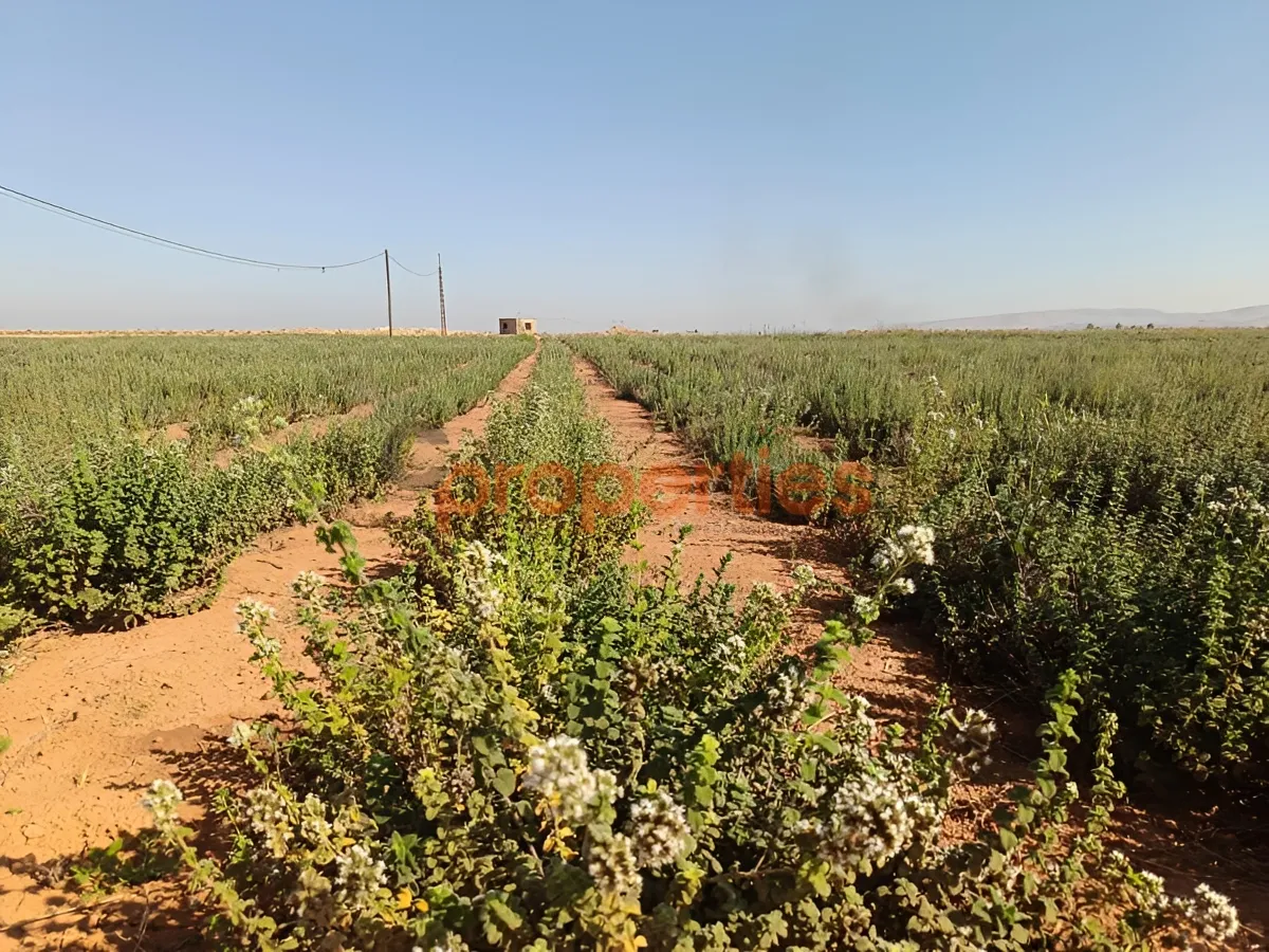 Land for Sale in Western Beqaa District