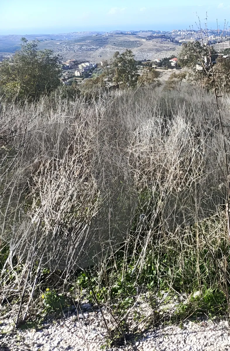 Land for Sale in Jbaa, Lebanon