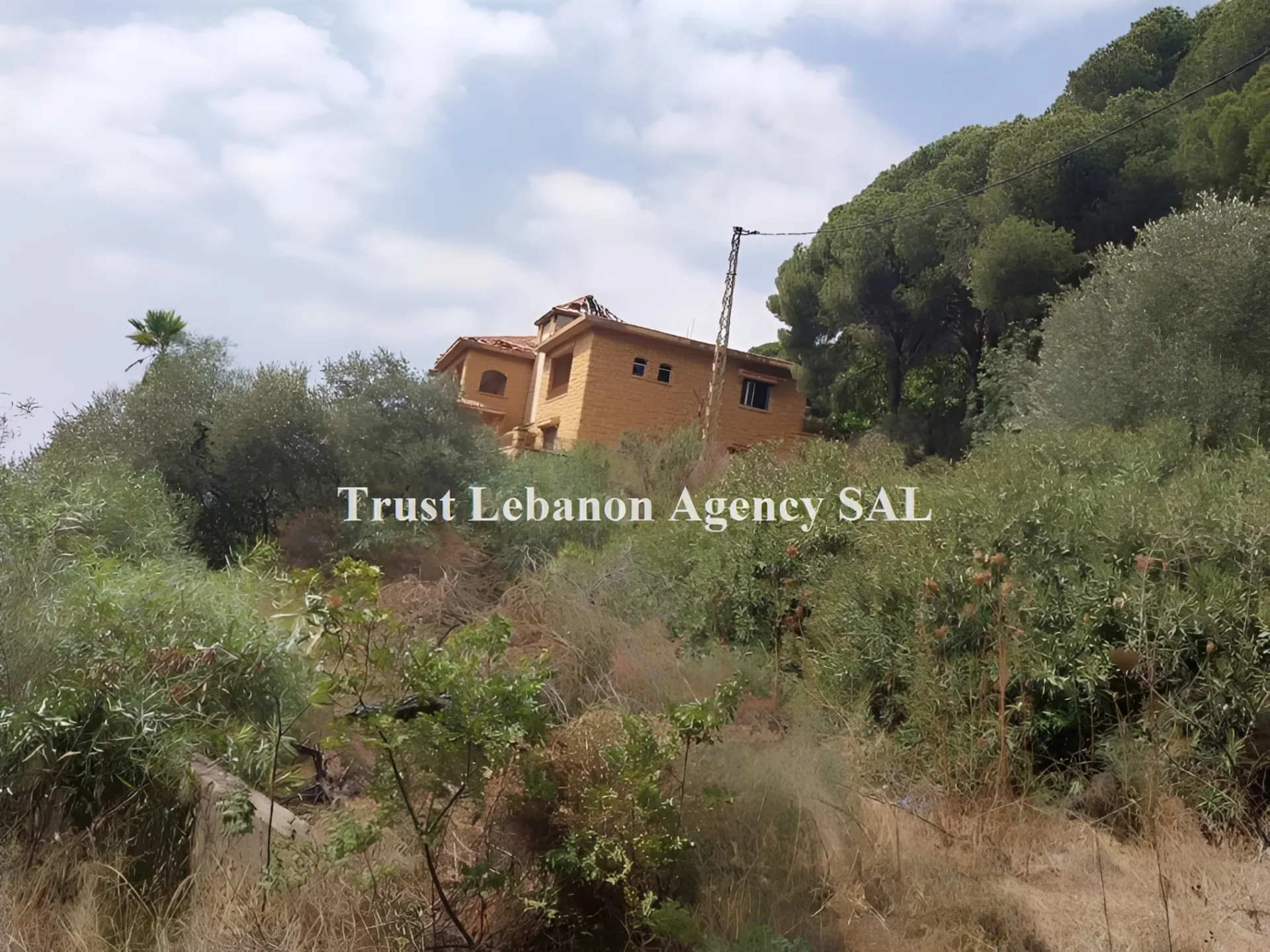 Villa for Sale in Baabda Baabda Lebanon