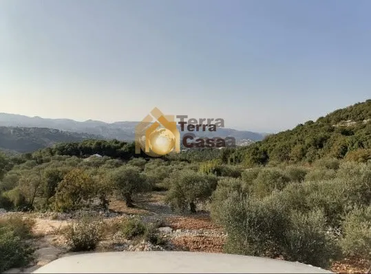 Land for sale in Kfar Chlaimane Batroun North, Lebanon