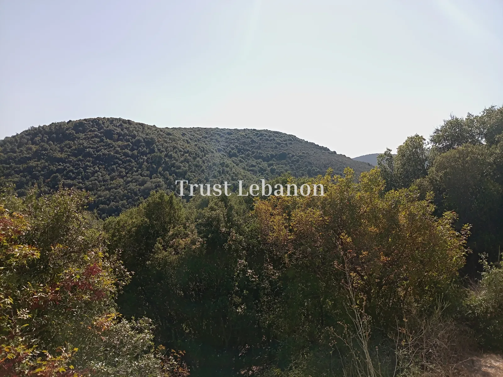 Residential Land for sale in Batroun, Lebanon