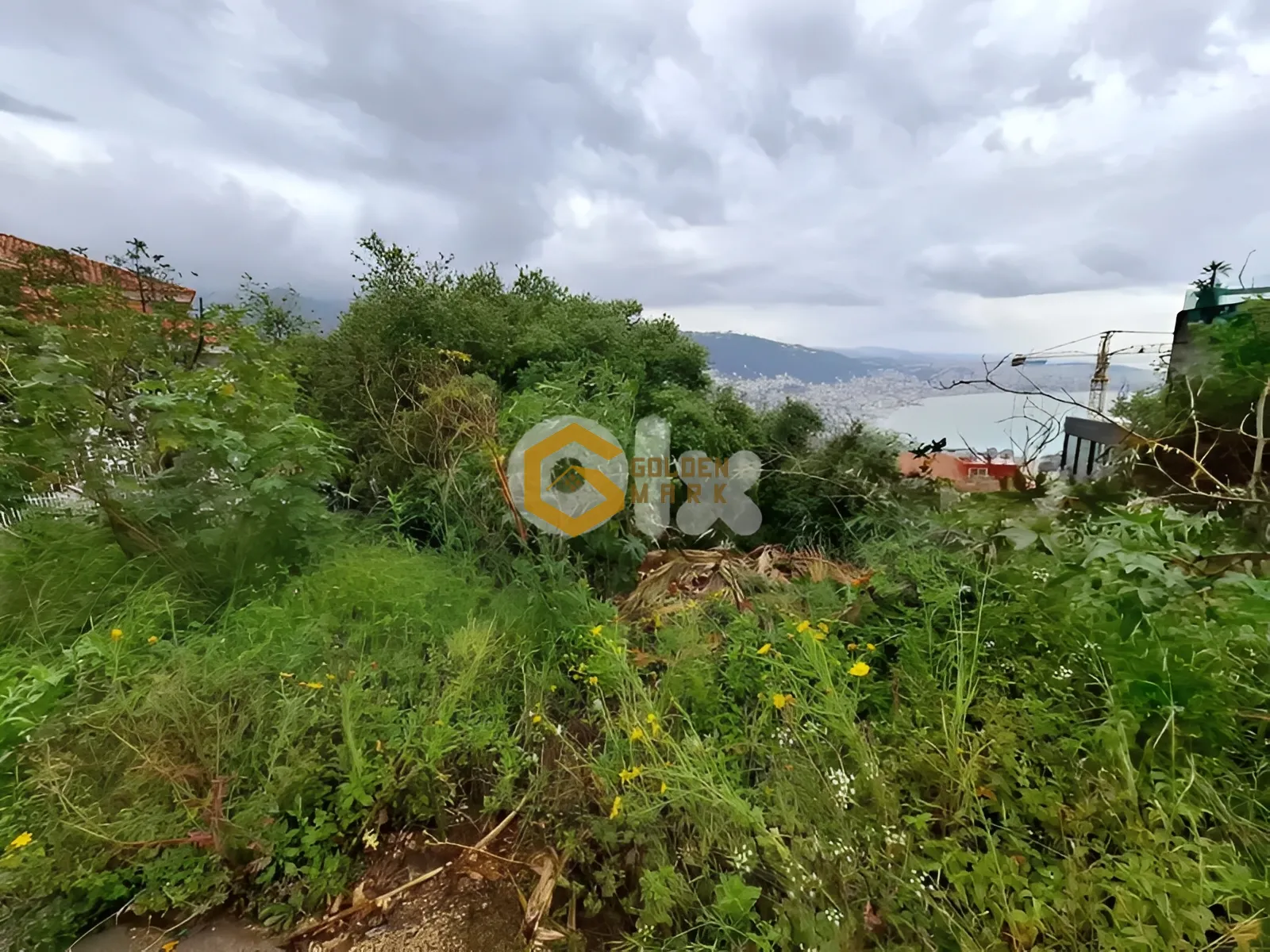 Land for Sale in Adma w Dafnah