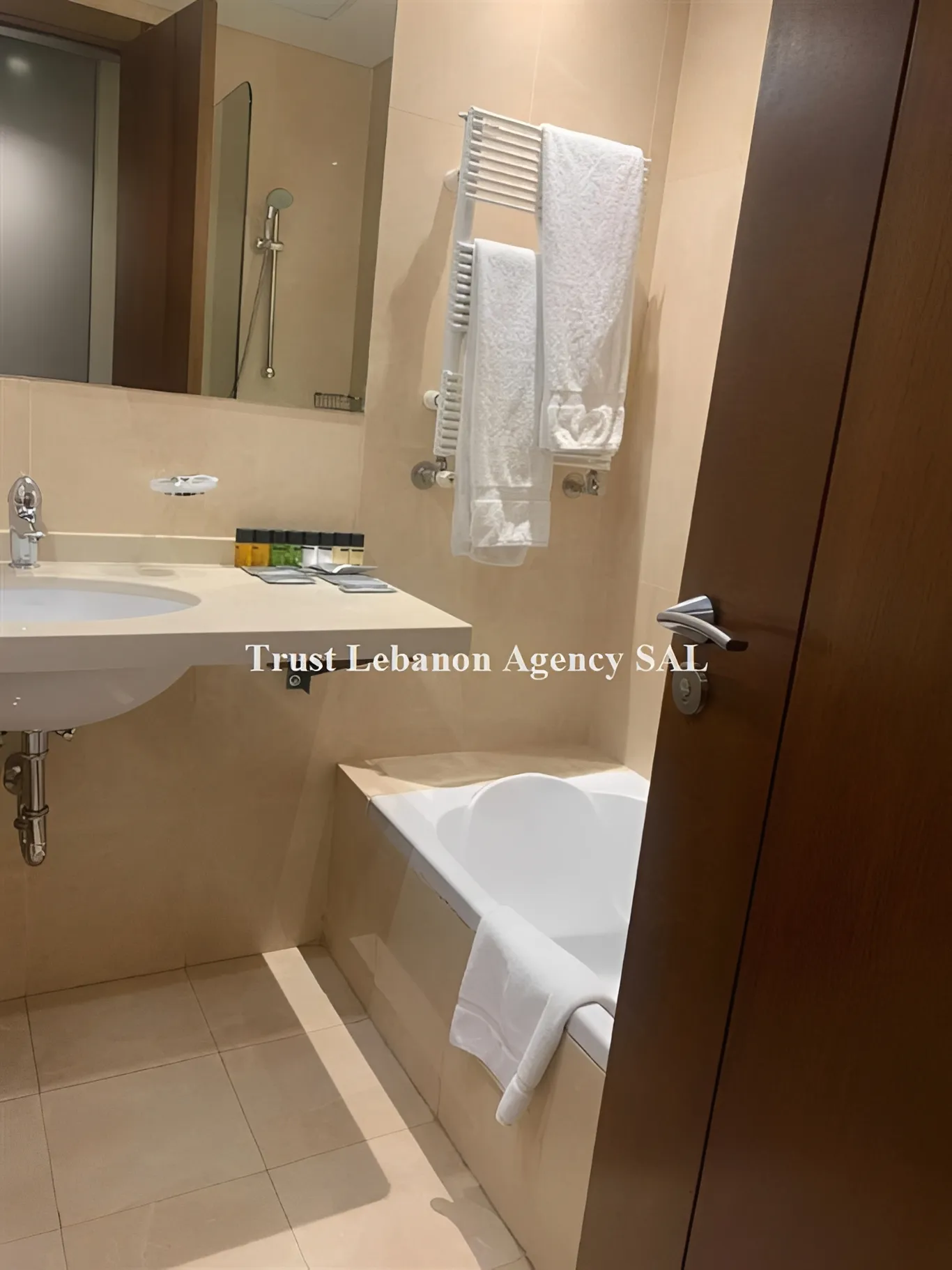 Apartment for Rent in Achrafieh Saifi