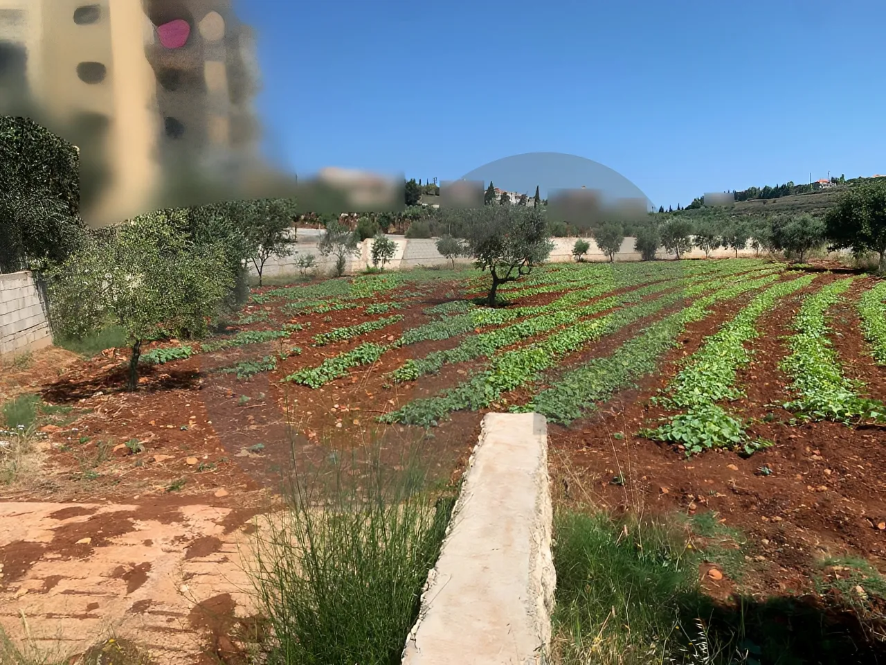 Land for Sale in Koura