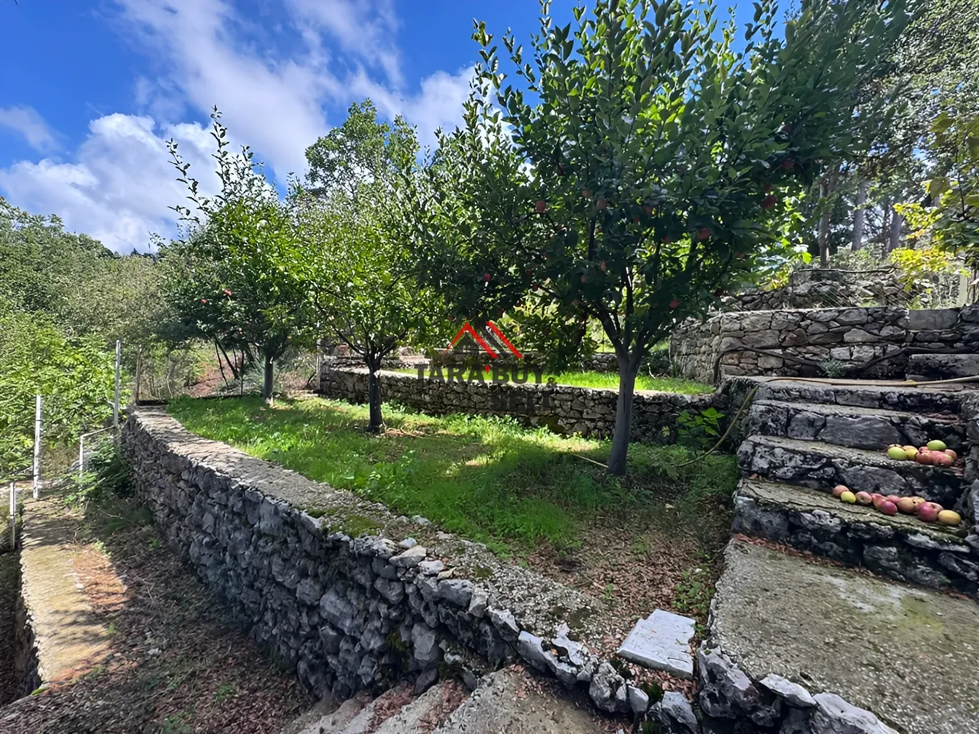 Residential Land for sale in Ashqout