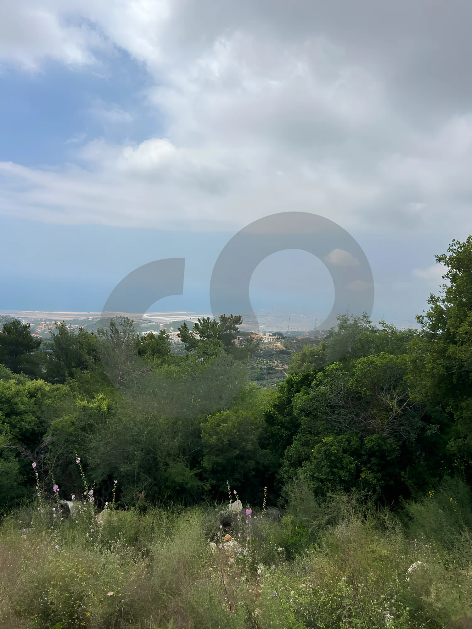 Land for Sale in Ainab