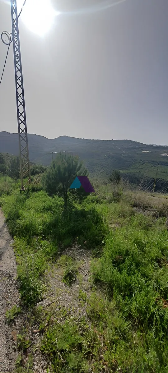 Land for Sale in Rechmaya