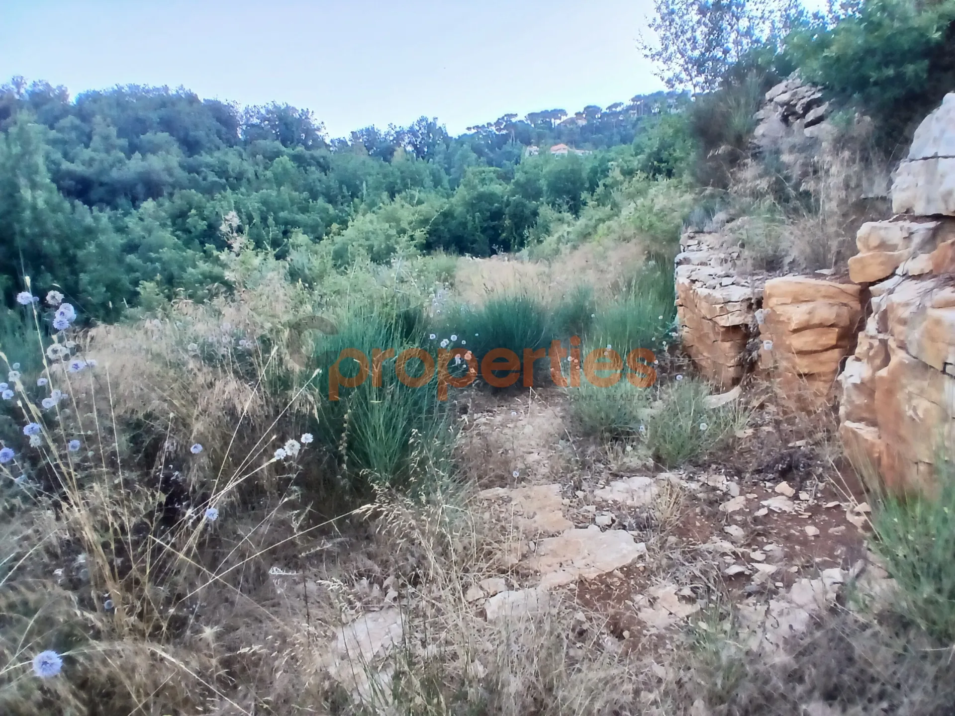 Residential Land for Sale in Dhour El Choueir