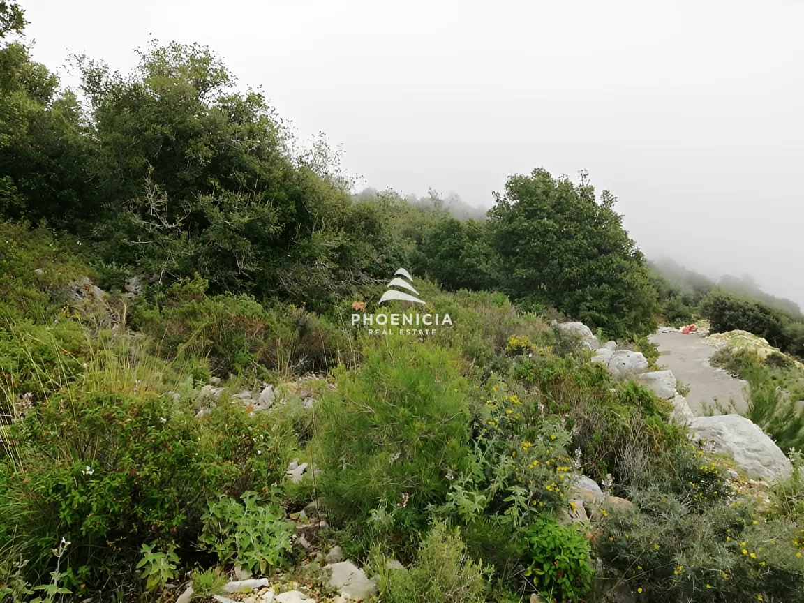 Land for Sale in Blat