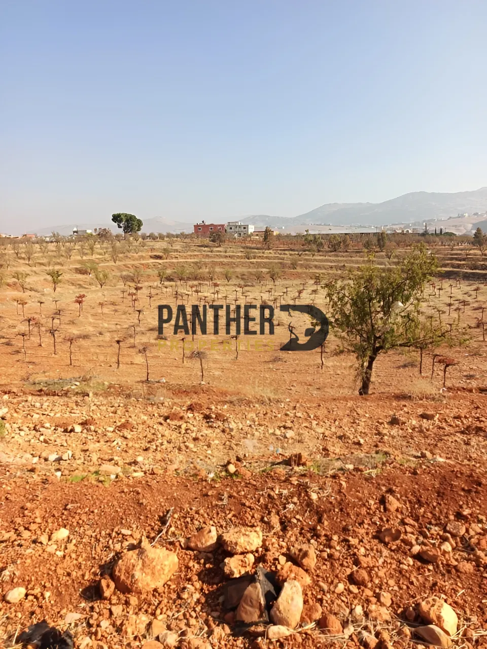 Land for sale in Zahlé, lebanon