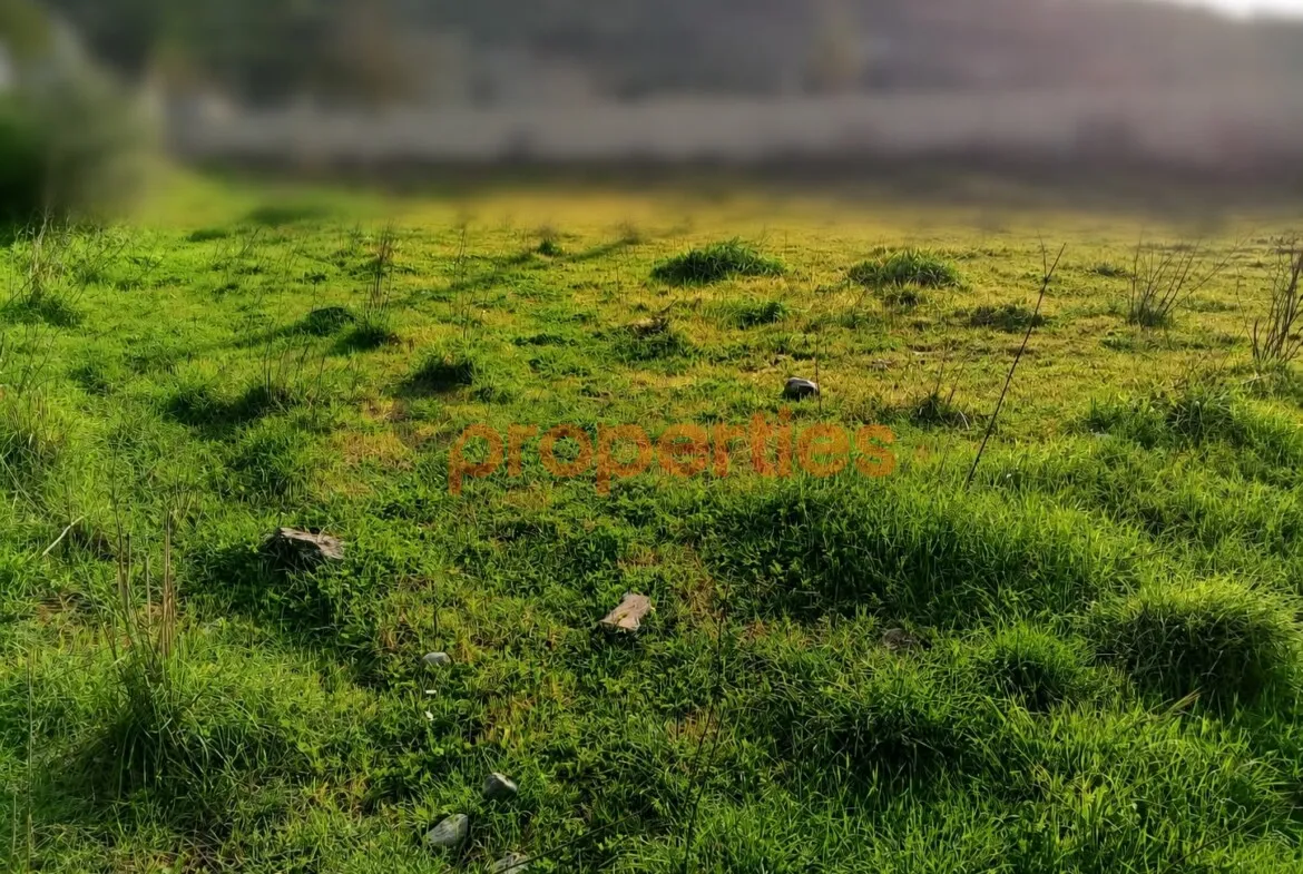 Residential Land for Sale in Edde