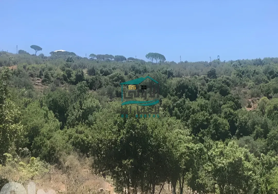 Land in حاصبيّا، lebanon
