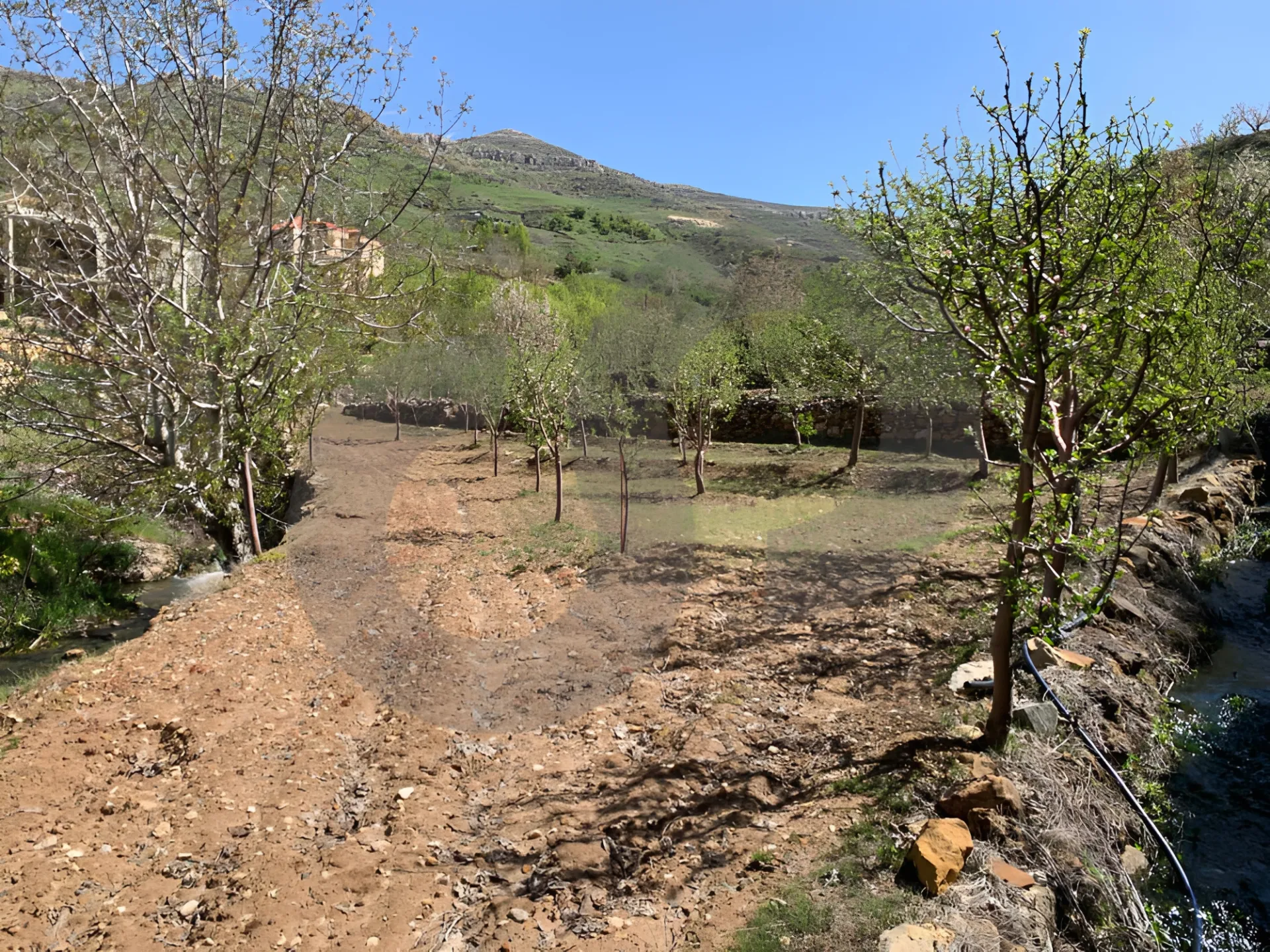 Land for Sale in Tannourine El Tahta
